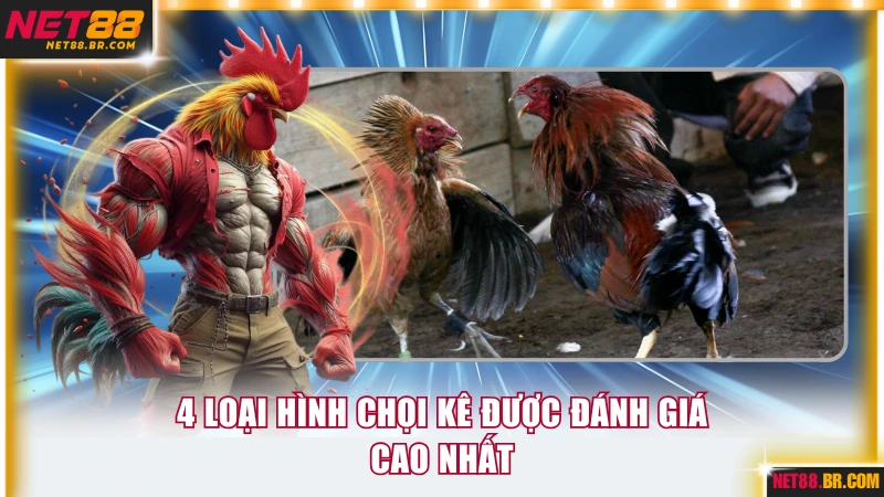 4 loại hình chọi kê được đánh giá cao nhất