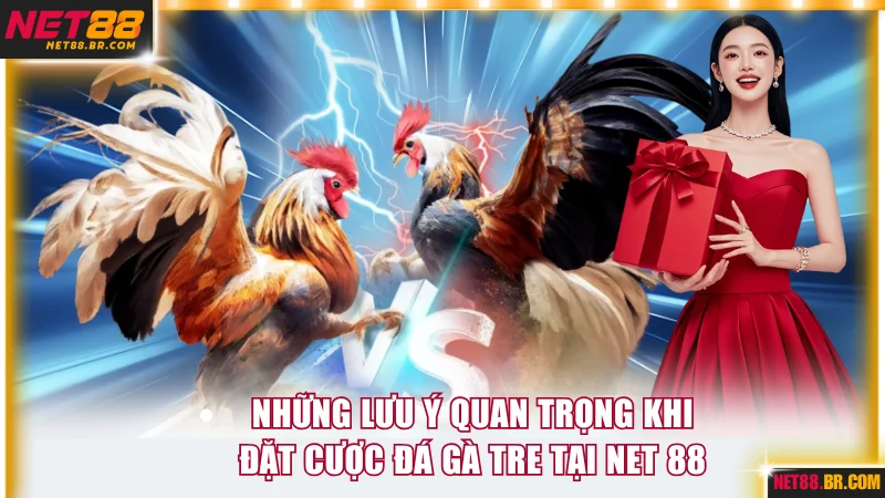 Bí quyết đặt cược chọi kê tre tại NET 88 hiệu quả