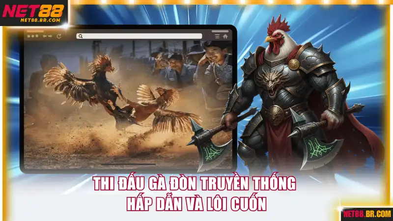 Thi đấu gà đòn truyền thống hấp dẫn và lôi cuốn