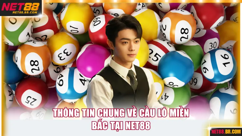 Thông tin chung về cầu lô miền Bắc tại NET88